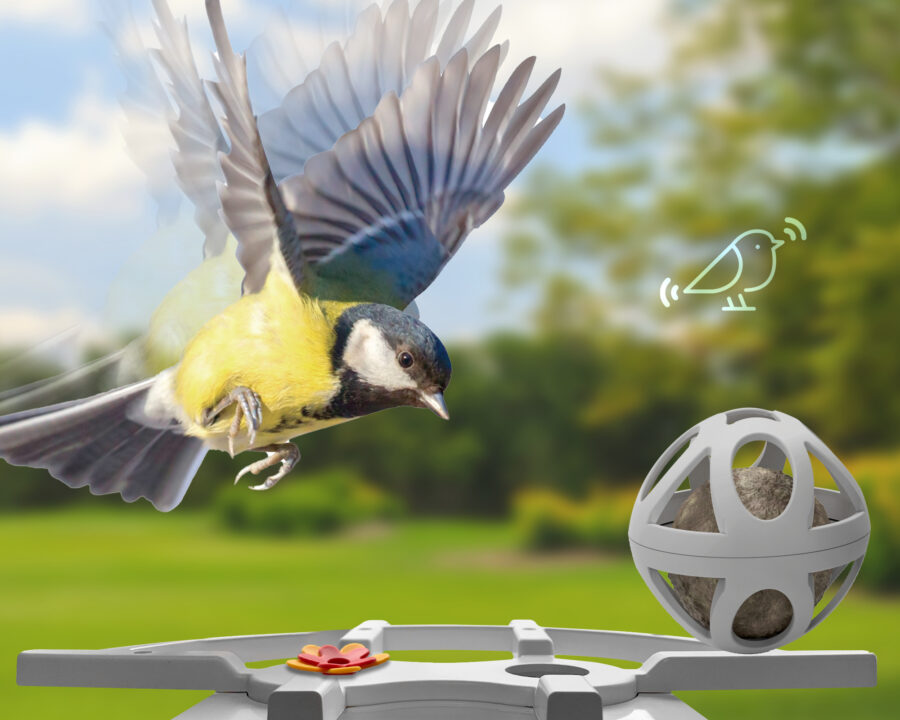 Smart Birdfeeder : la mangeoire qui filme les oiseaux en haute définition !
