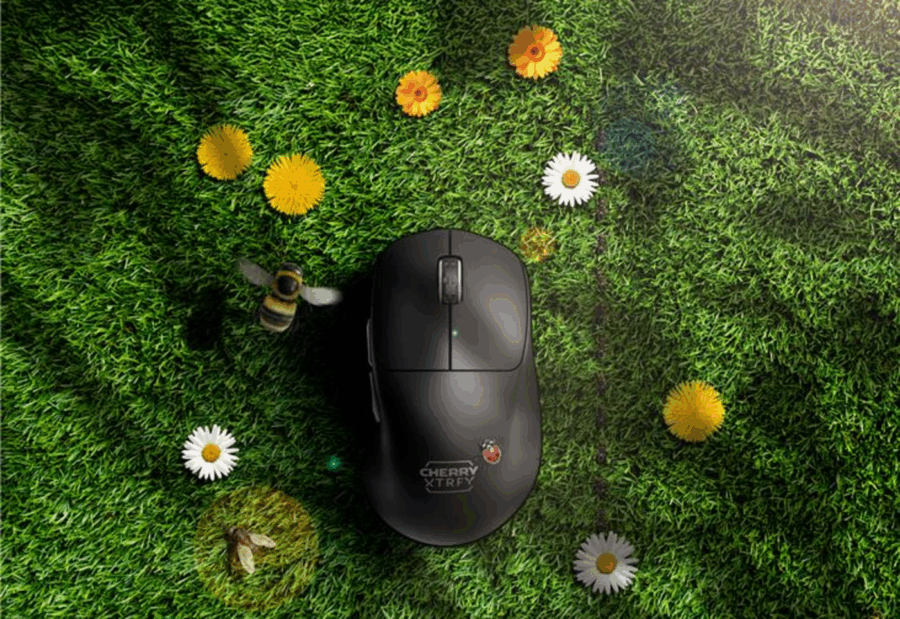 CHERRY XTRFY : Le matériel gaming ultra-performant pour un été de folie !