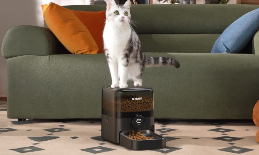 J’ai utilisé le OneIsAll : un distributeur intelligent qui facilite la vie des propriétaires de chats