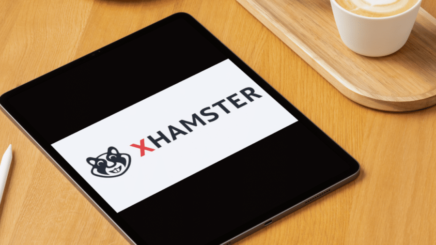 Comment débloquer xHamster en France ?